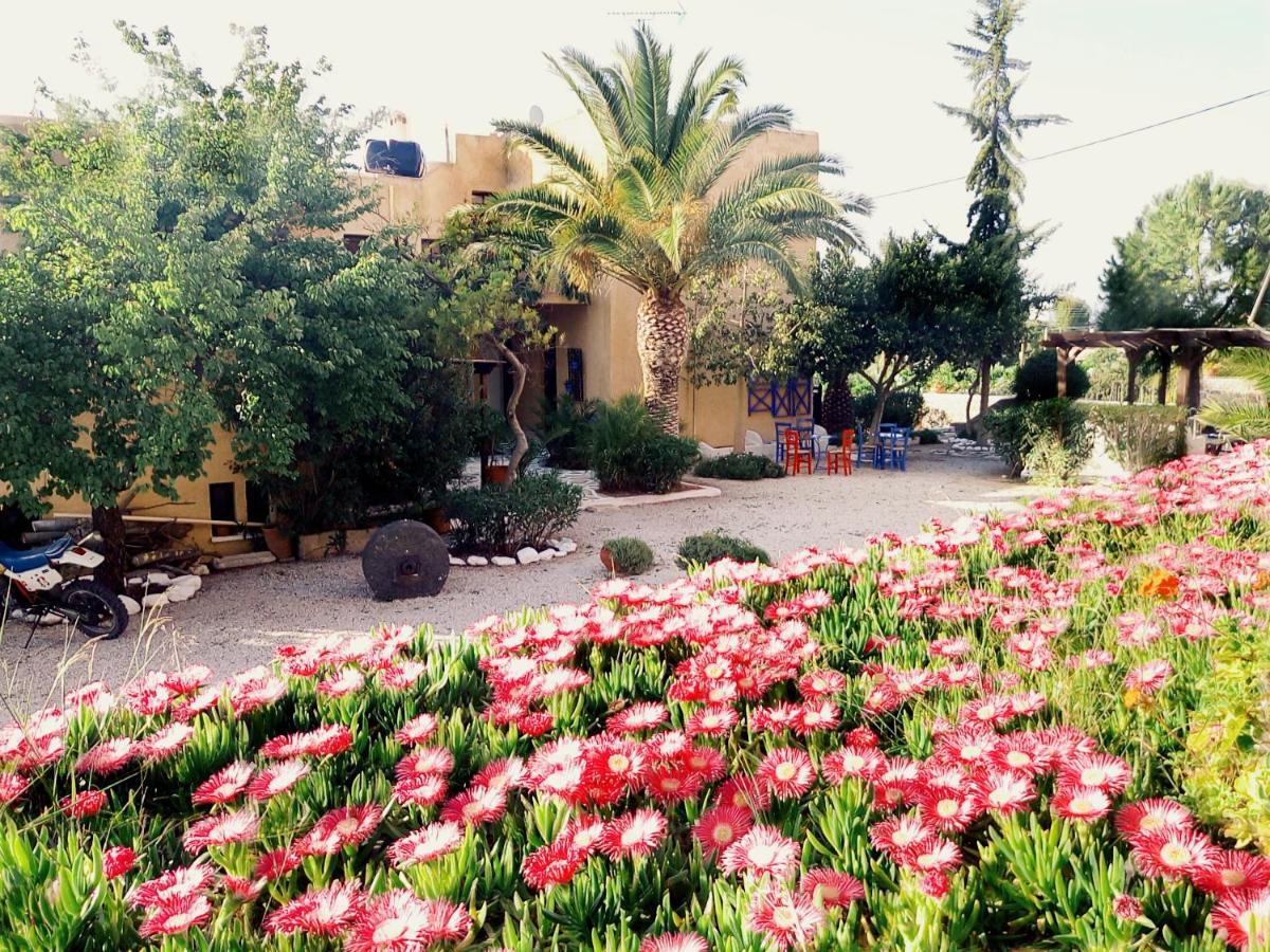 Vagia Beach Apartments, Aegina Island Room photo